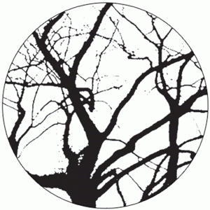 logo-site-du-haut-de-mon-arbre